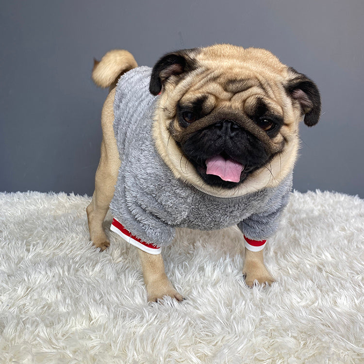 CozySaturday™ Pet Sweater