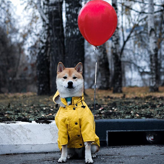 YellowShell™ Dog Waterproof Raincoat