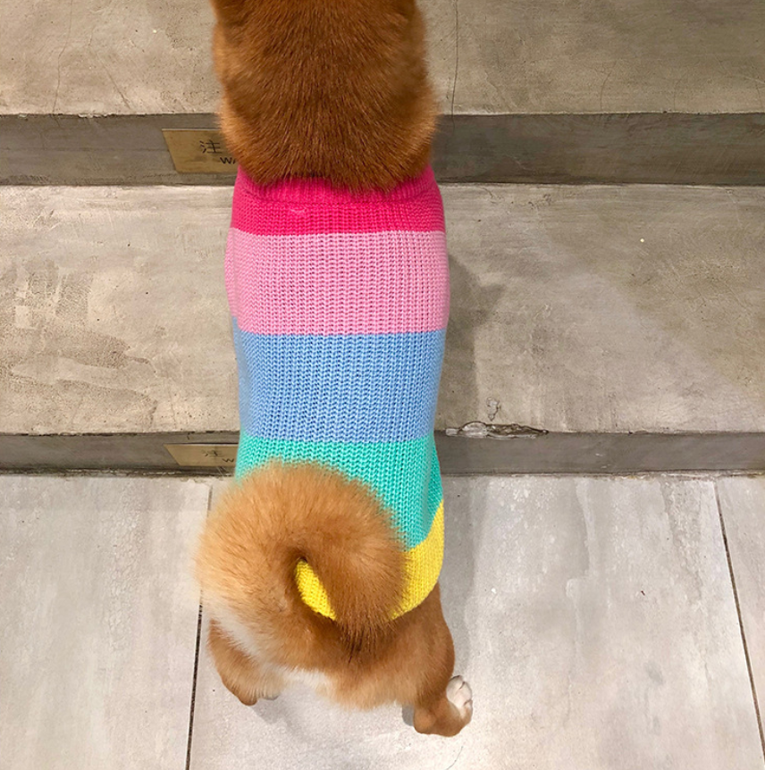 Rainbow Cozy™ Dog Sweater