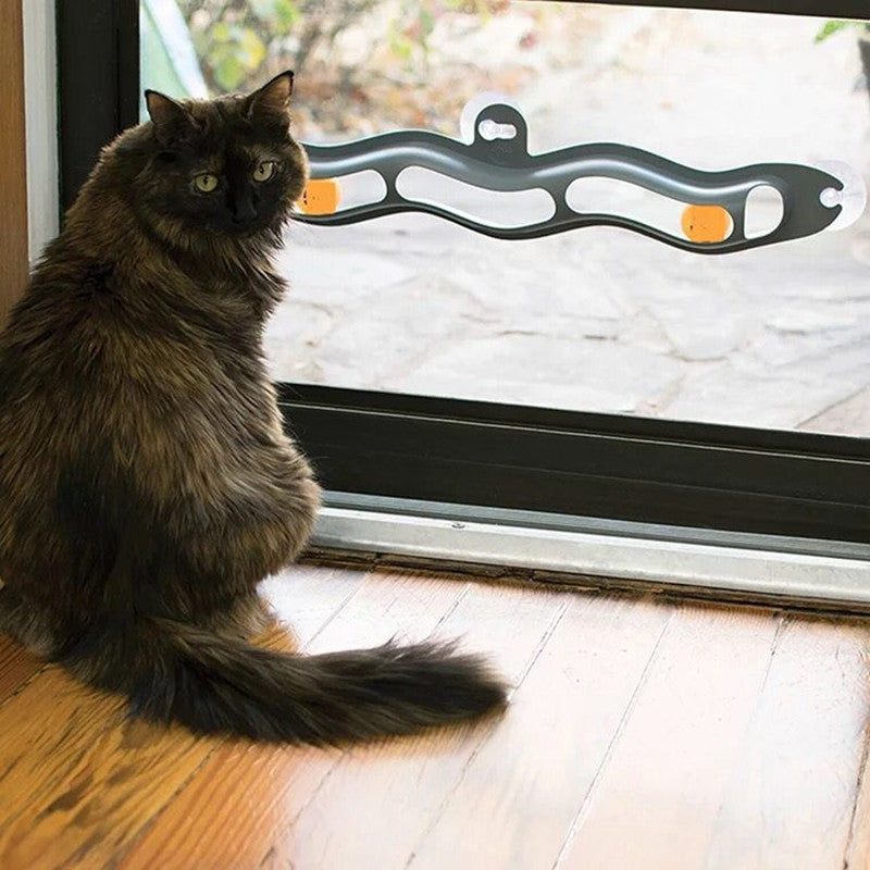WindowWhisk™ Cat Track Ball Toy