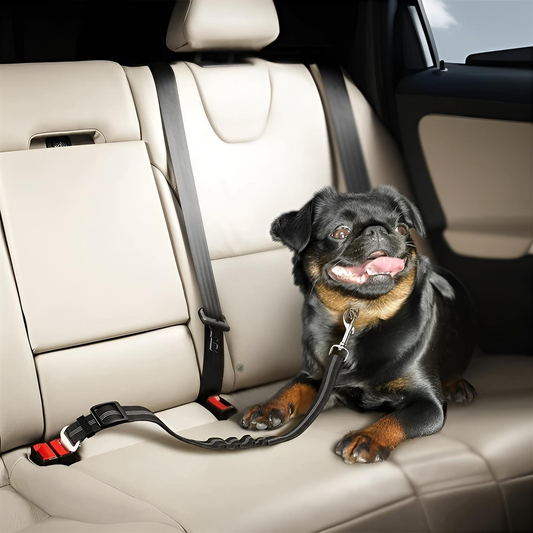 SafePaws™ Dog Seat Belt