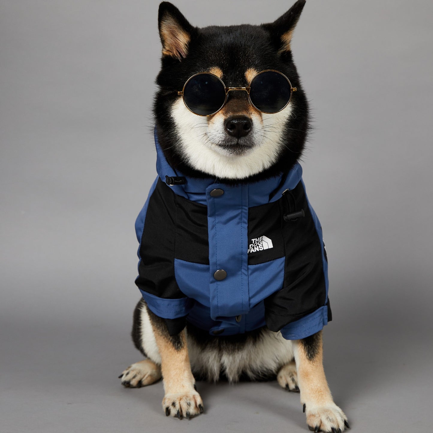 BlueShell™ Windproof Dog Raincoat