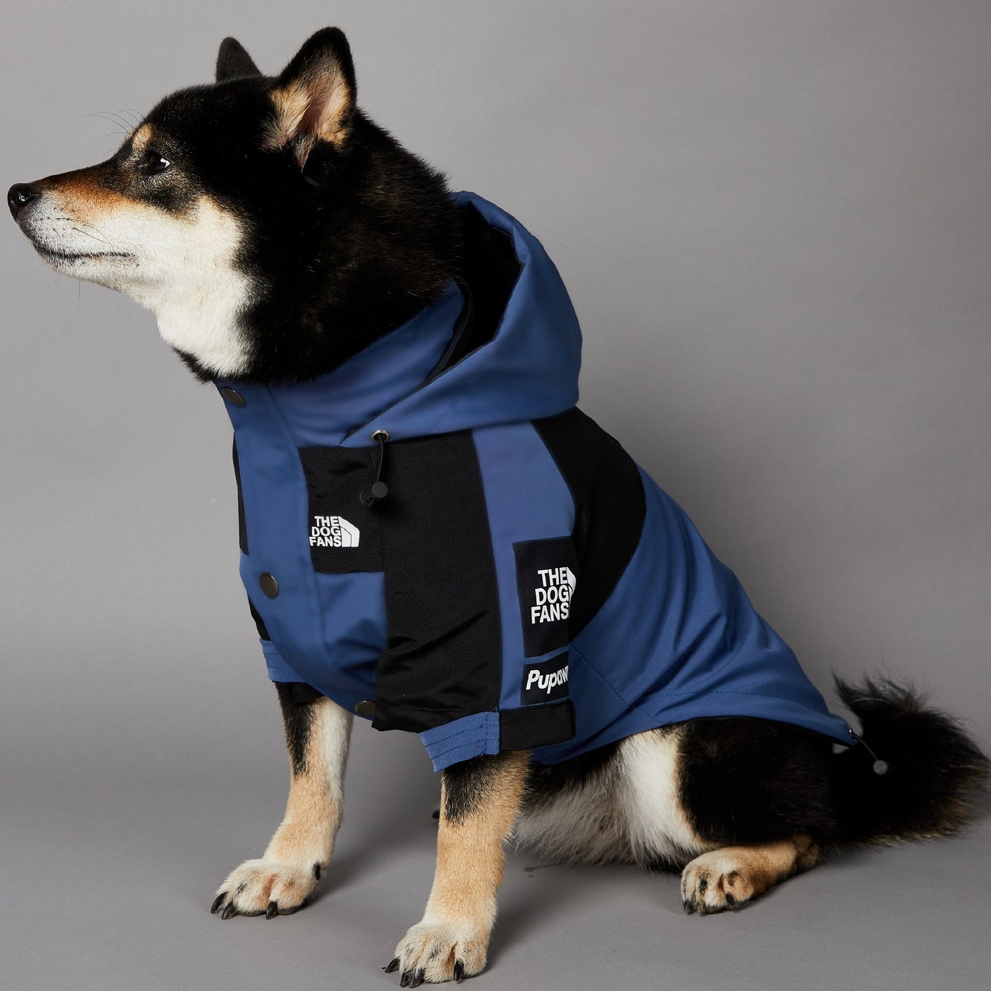 BlueShell™ Windproof Dog Raincoat